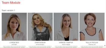 Joomla2you Team Module